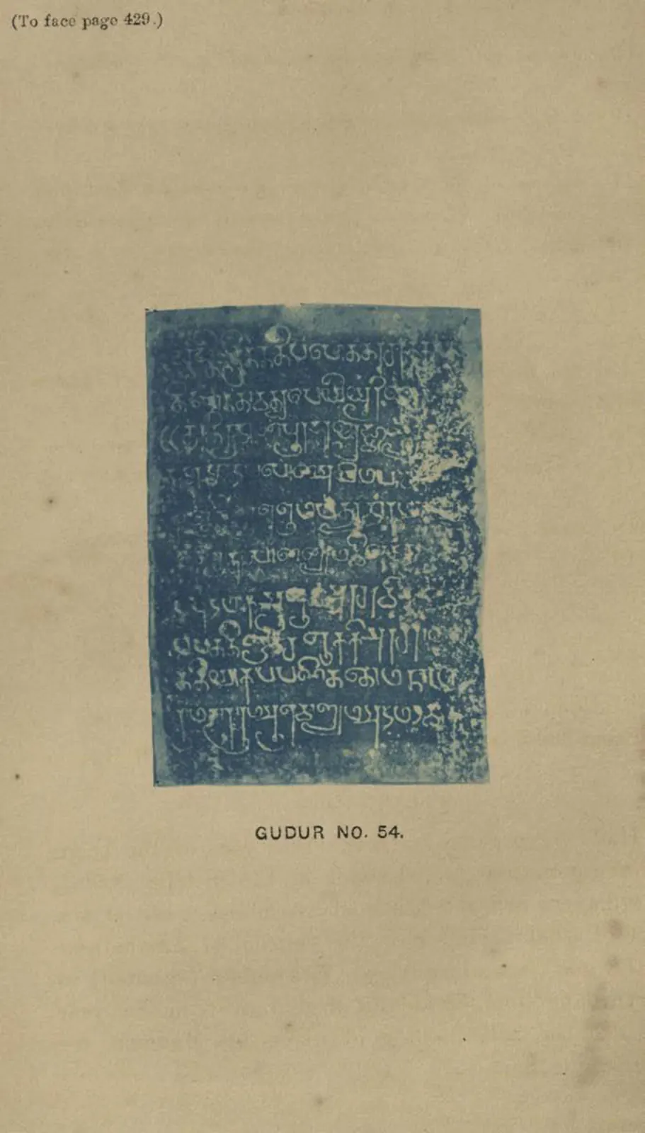Blue cyanotype impression of a weathered stone inscription from Gudur.