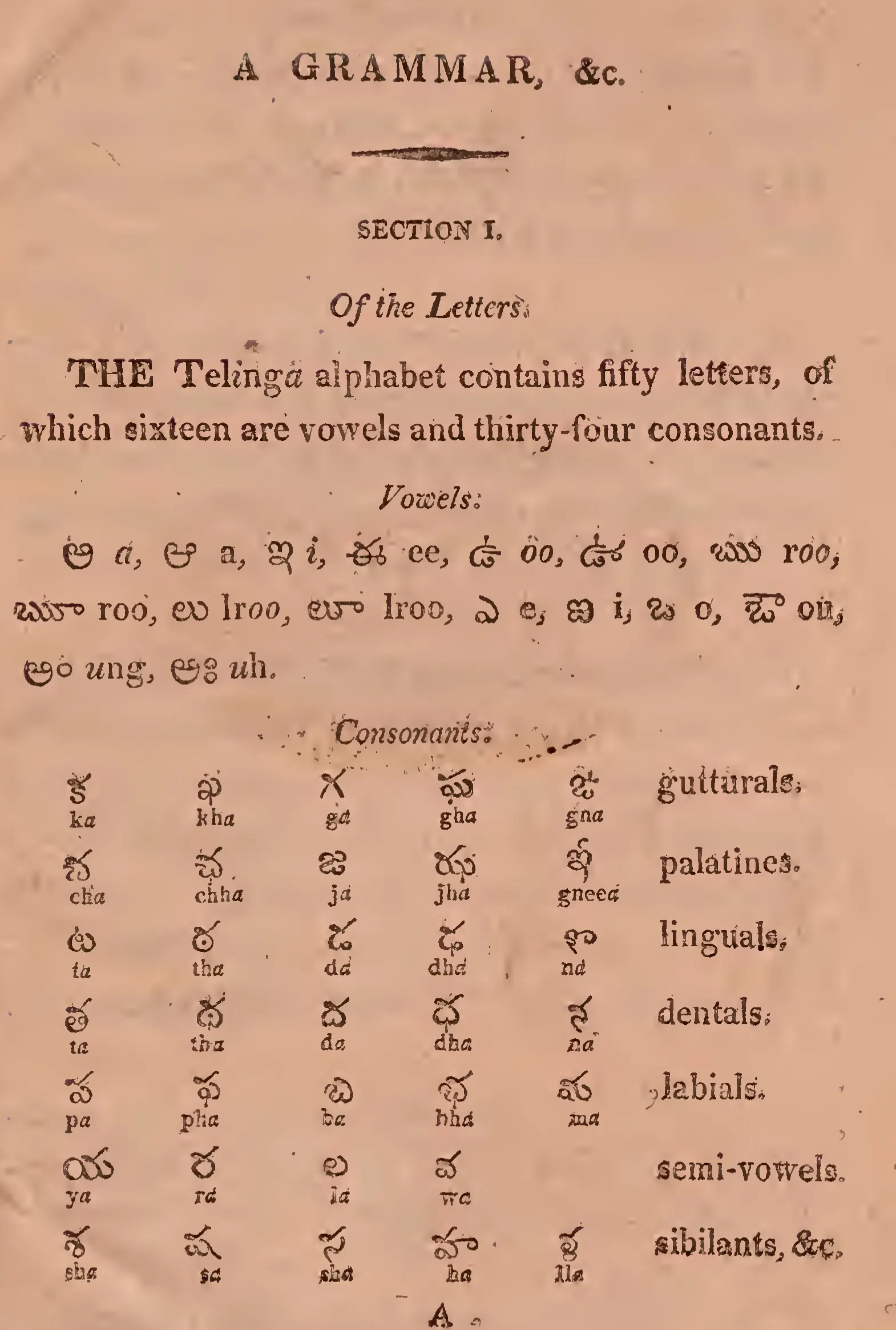 Printed page on brown paper giving the Telugu vowels in a line and the consonants in rows, each letter with its English sound below, grouped as gutturals, palatals and so on.