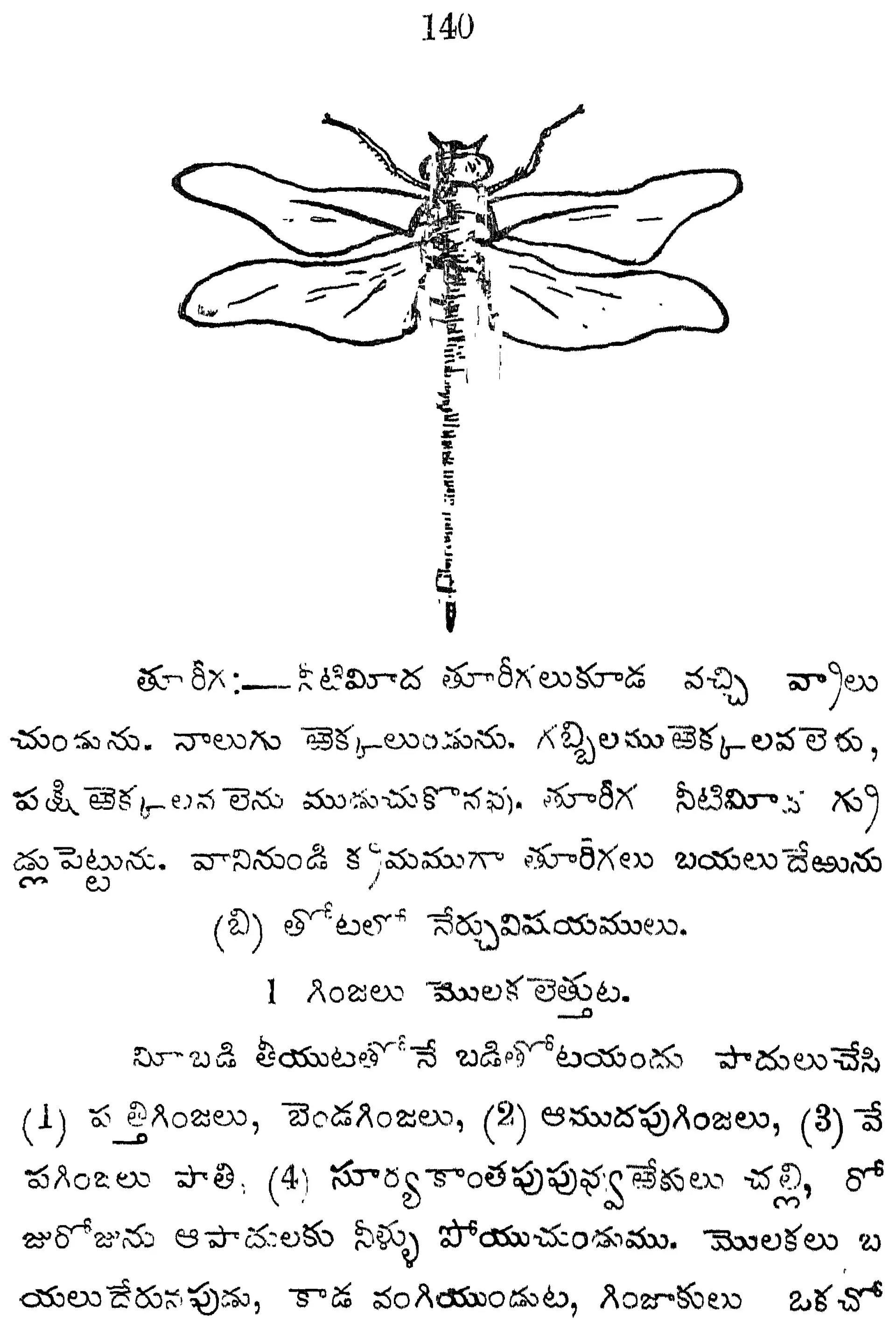 Telugu textbook page with a large line drawing of a dragonfly at the top and lesson text below.
