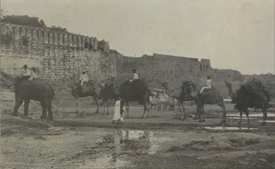 The city wall of Hyderabad seen from the river bed, with elephants and camels in front.