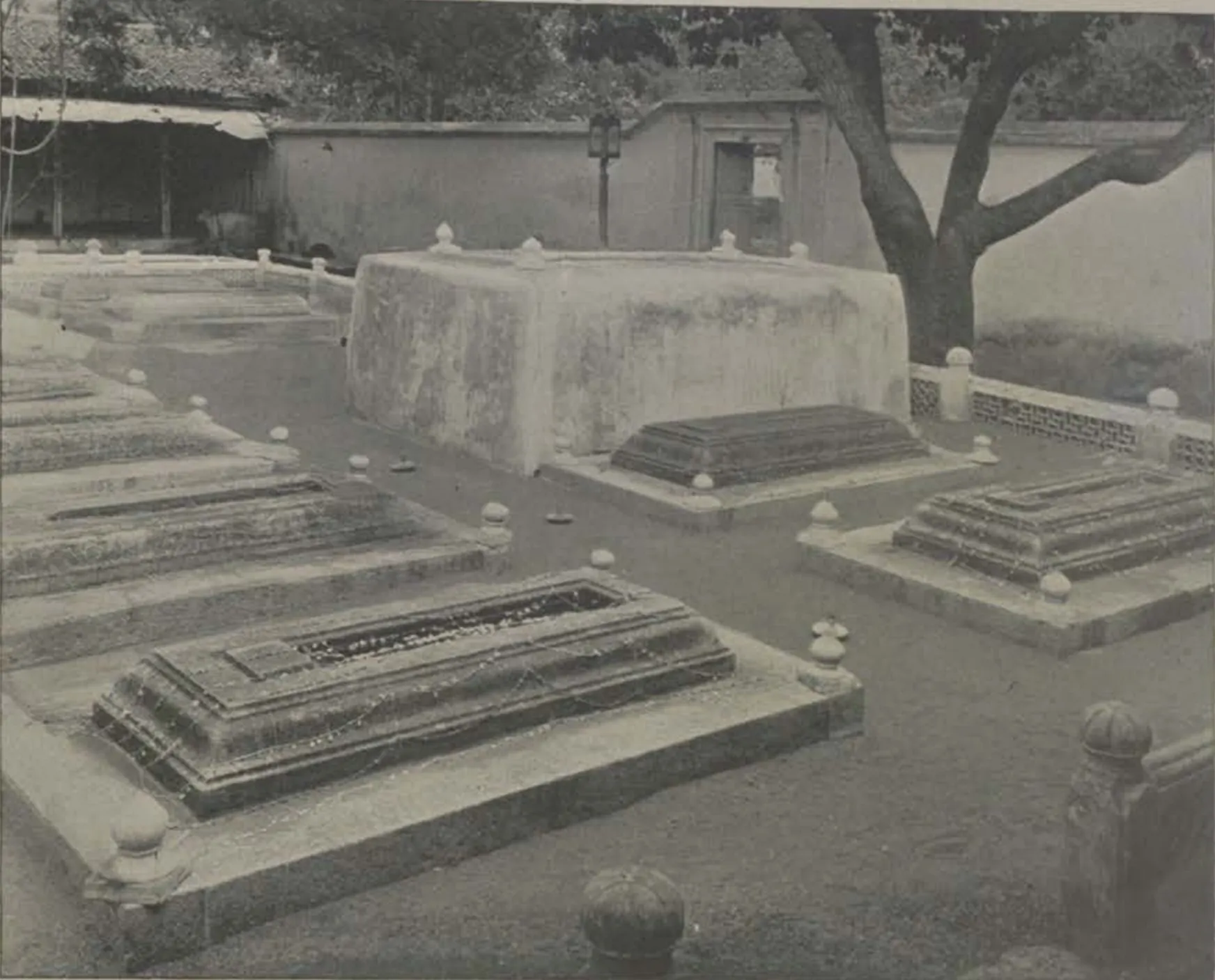 Low raised graves in an enclosure under a tree.