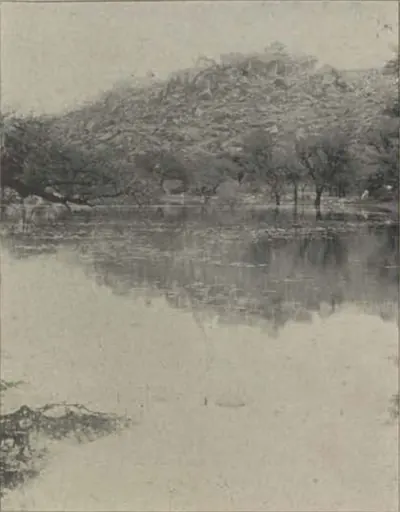 A lake with trees and a hill behind, at Attapur.