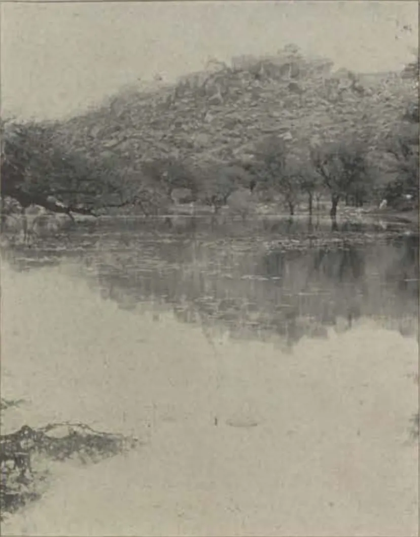 A lake with trees and a hill behind, at Attapur.