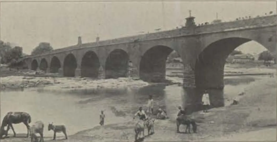 The Oliphant bridge, a long arched bridge over a river, with cattle and people in the water.