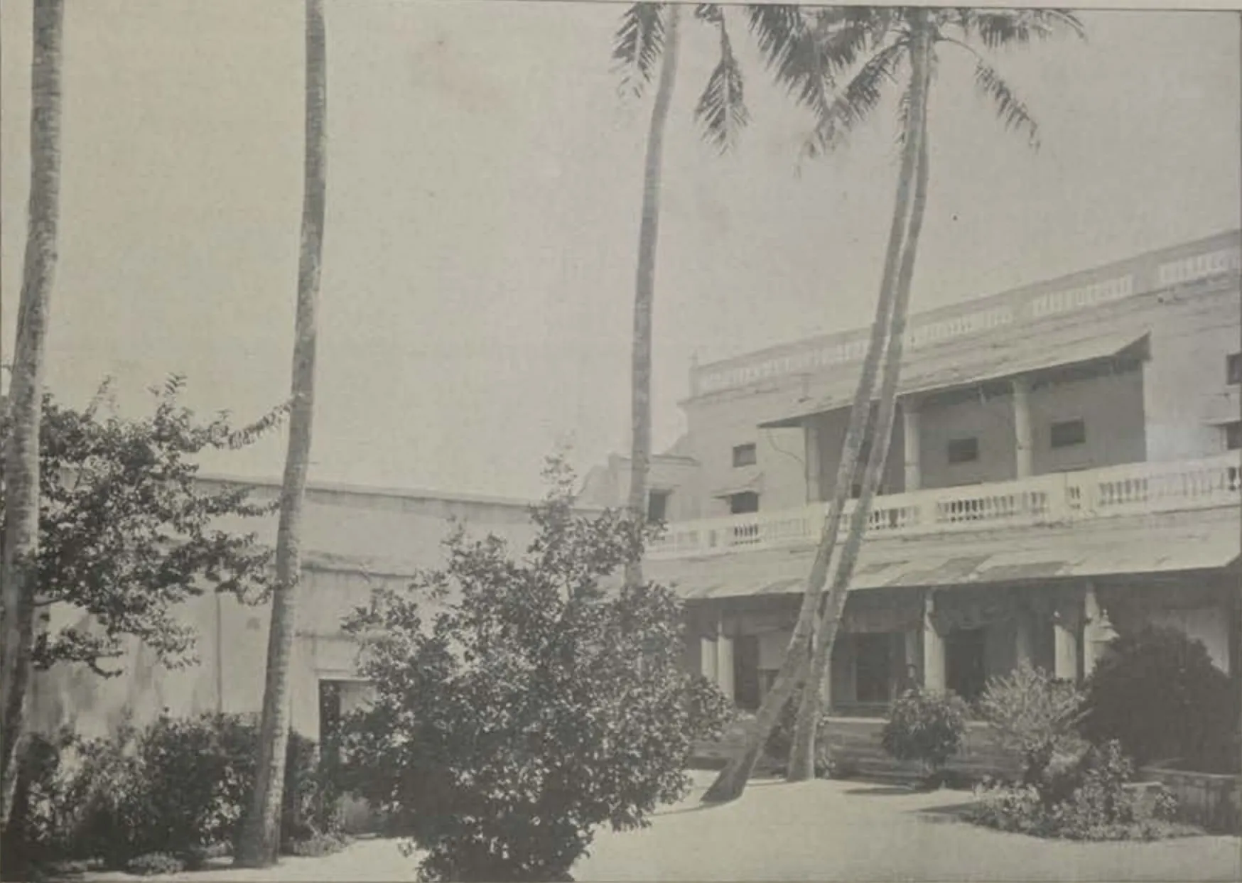 Palace buildings with verandahs among palms.