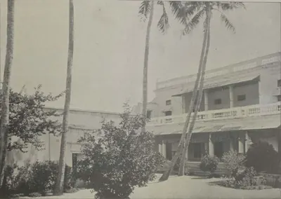Palace buildings with verandahs among palms.