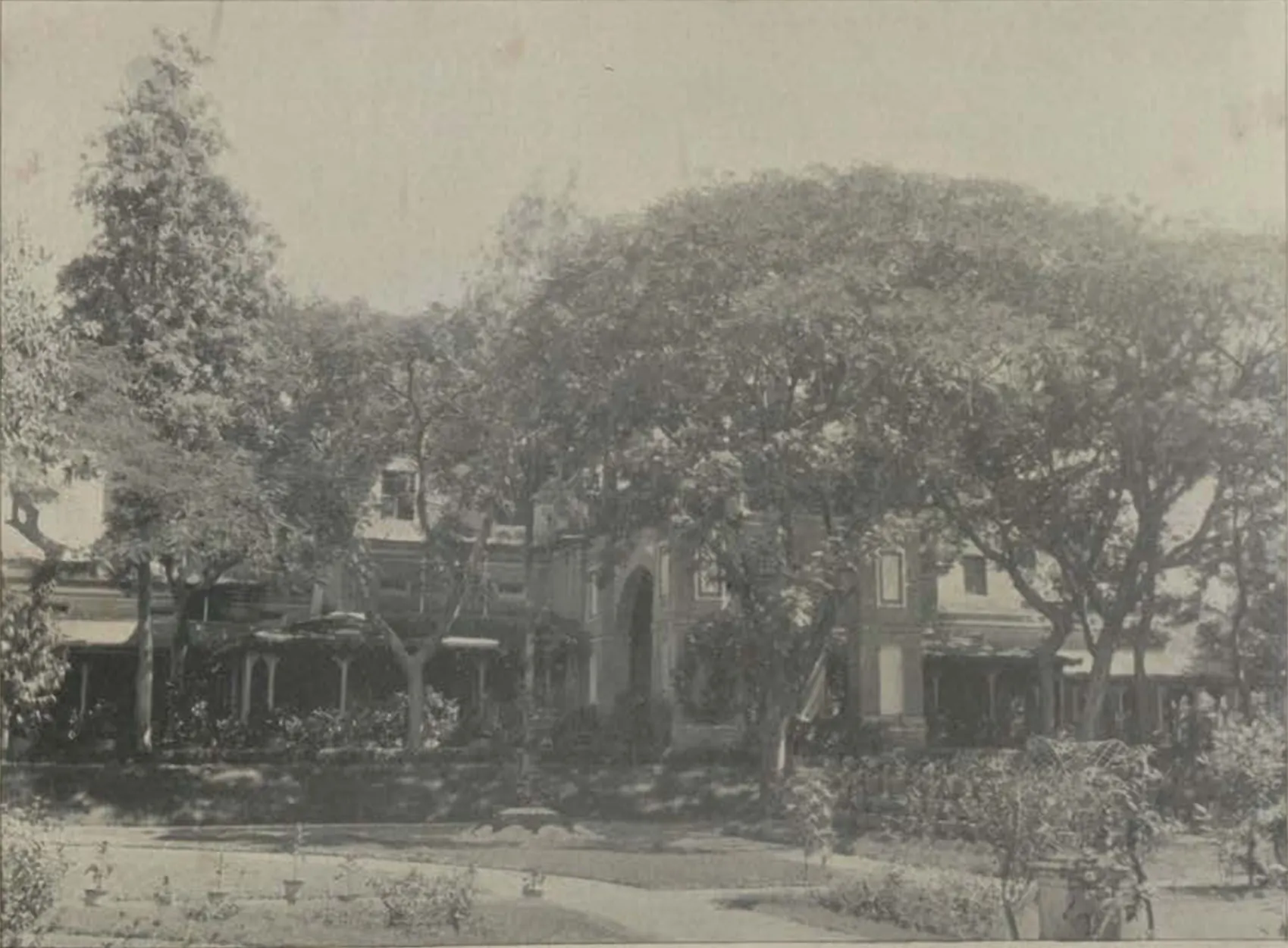 The Eden Gardens, with large trees and a building beyond.