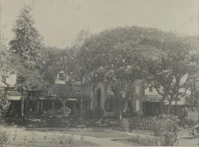 The Eden Gardens, with large trees and a building beyond.