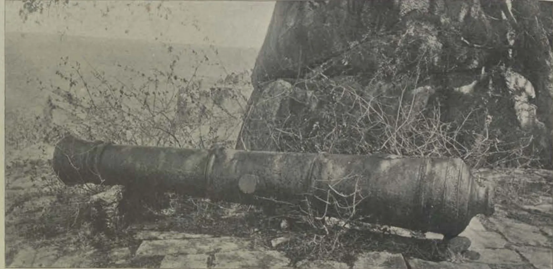 A long cannon lying among rocks on the citadel.