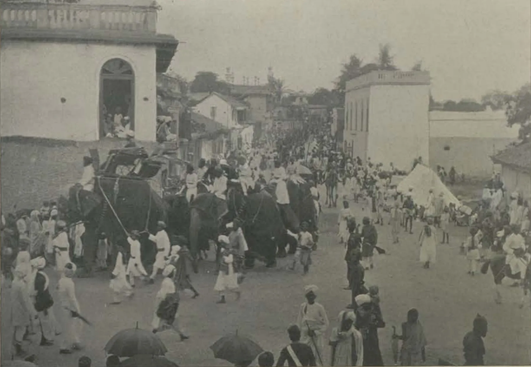 Elephants and a crowd in a street procession.