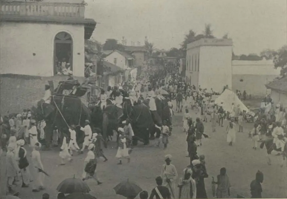 Elephants and a crowd in a street procession.