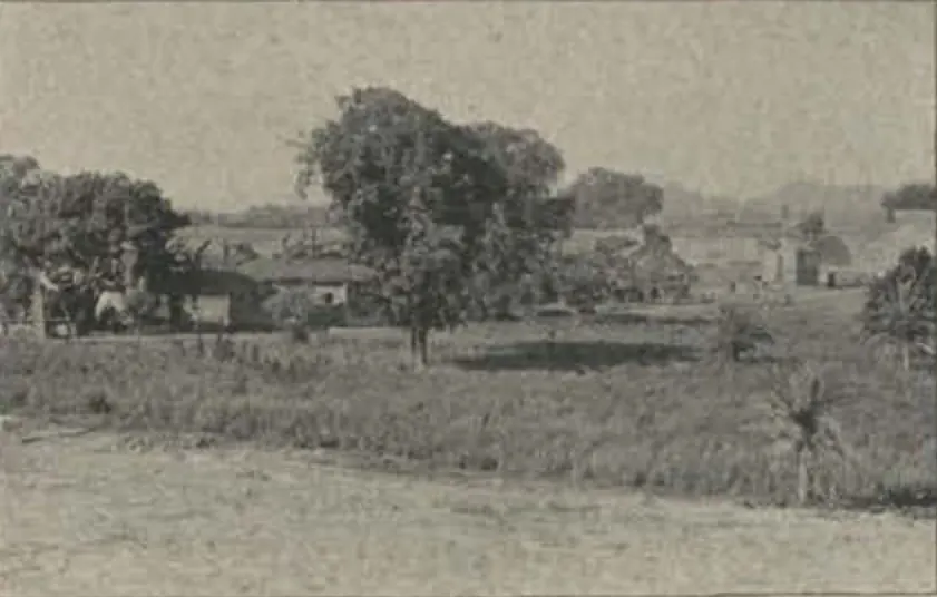 Low walls and buildings of the Juctial fort beyond fields and trees.
