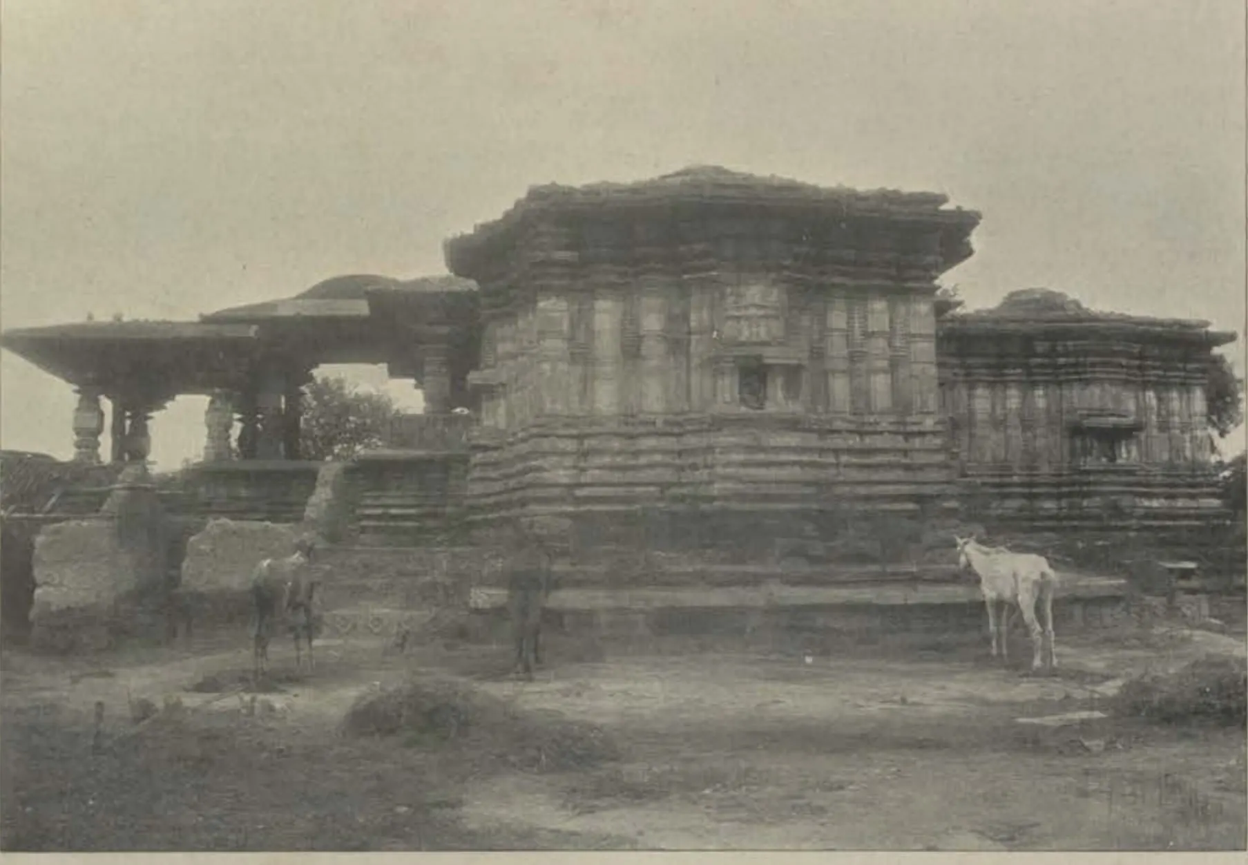 The shrines of the Thousand Pillar Temple, with a horse in front.