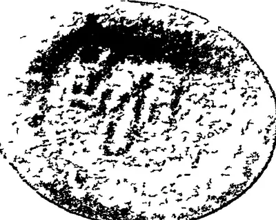 Line drawing of a round copper-plate seal with a faint device and legend, the seal of the Komarti plates of Chandavarman.