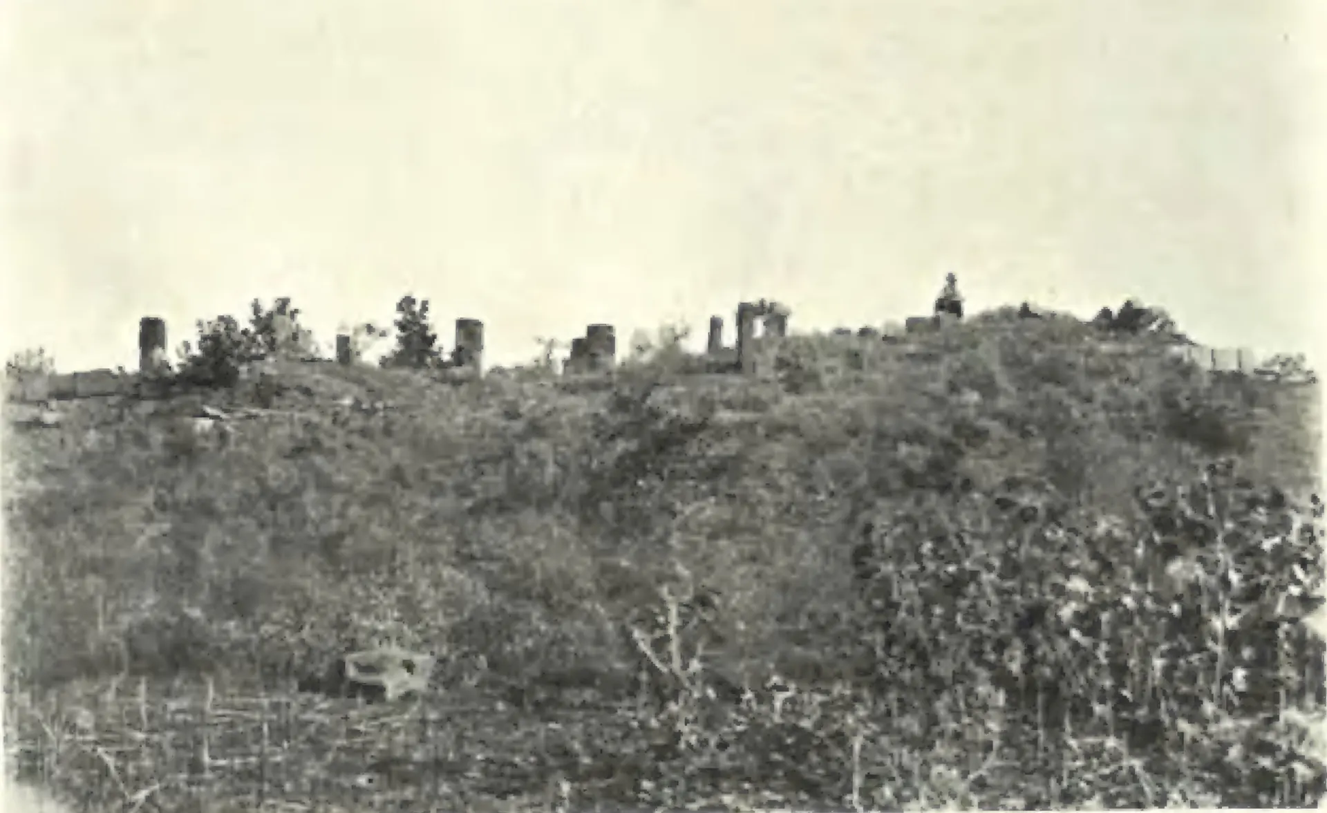 The remains of the Siva temple at Pedampet, a few standing stones on an overgrown mound.