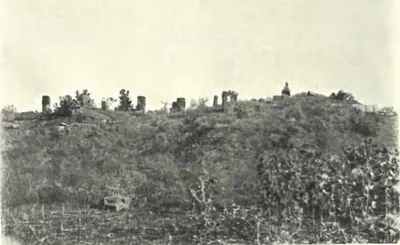 The remains of the Siva temple at Pedampet, a few standing stones on an overgrown mound.
