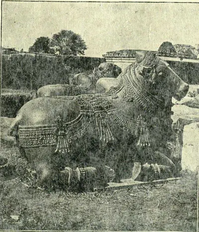 Carved stone bulls (Nandis) with ornamented harness lying in front of a temple in Warangal fort.