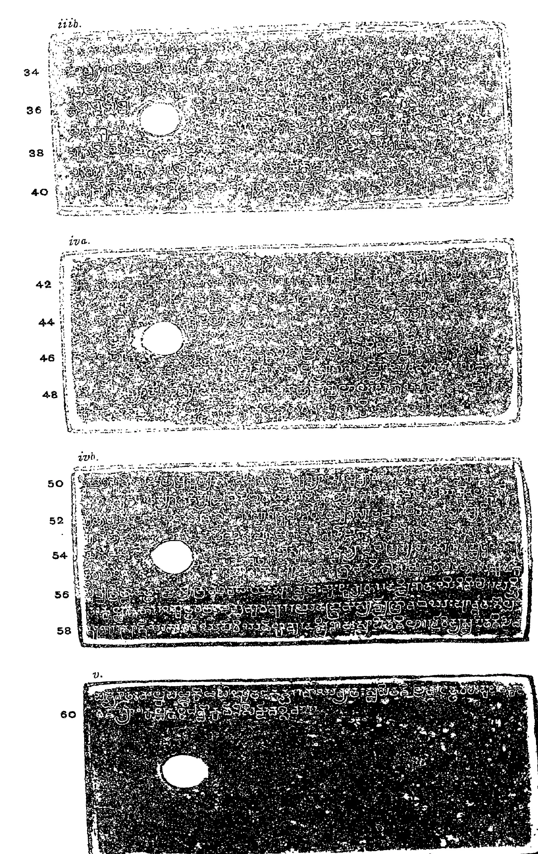Ink impressions of four inscribed copper plates, the letters of the Telugu-Kannada script showing pale on a dark ground, each plate with a round ring hole near the left edge.
