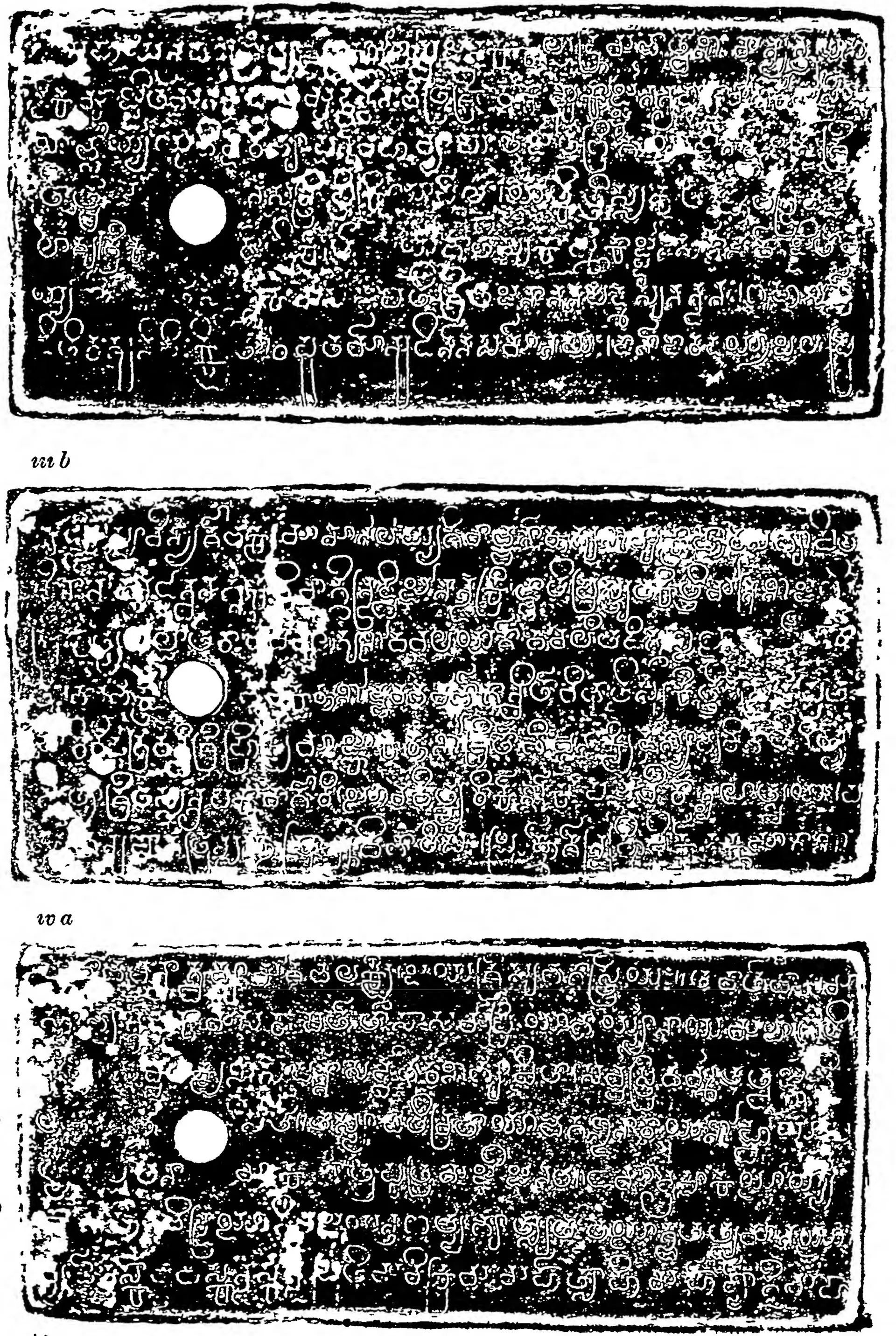 Ink impressions of three inscribed copper plates, the letters of the Telugu-Kannada script showing pale on a dark ground, each plate with a round ring hole near the left edge.