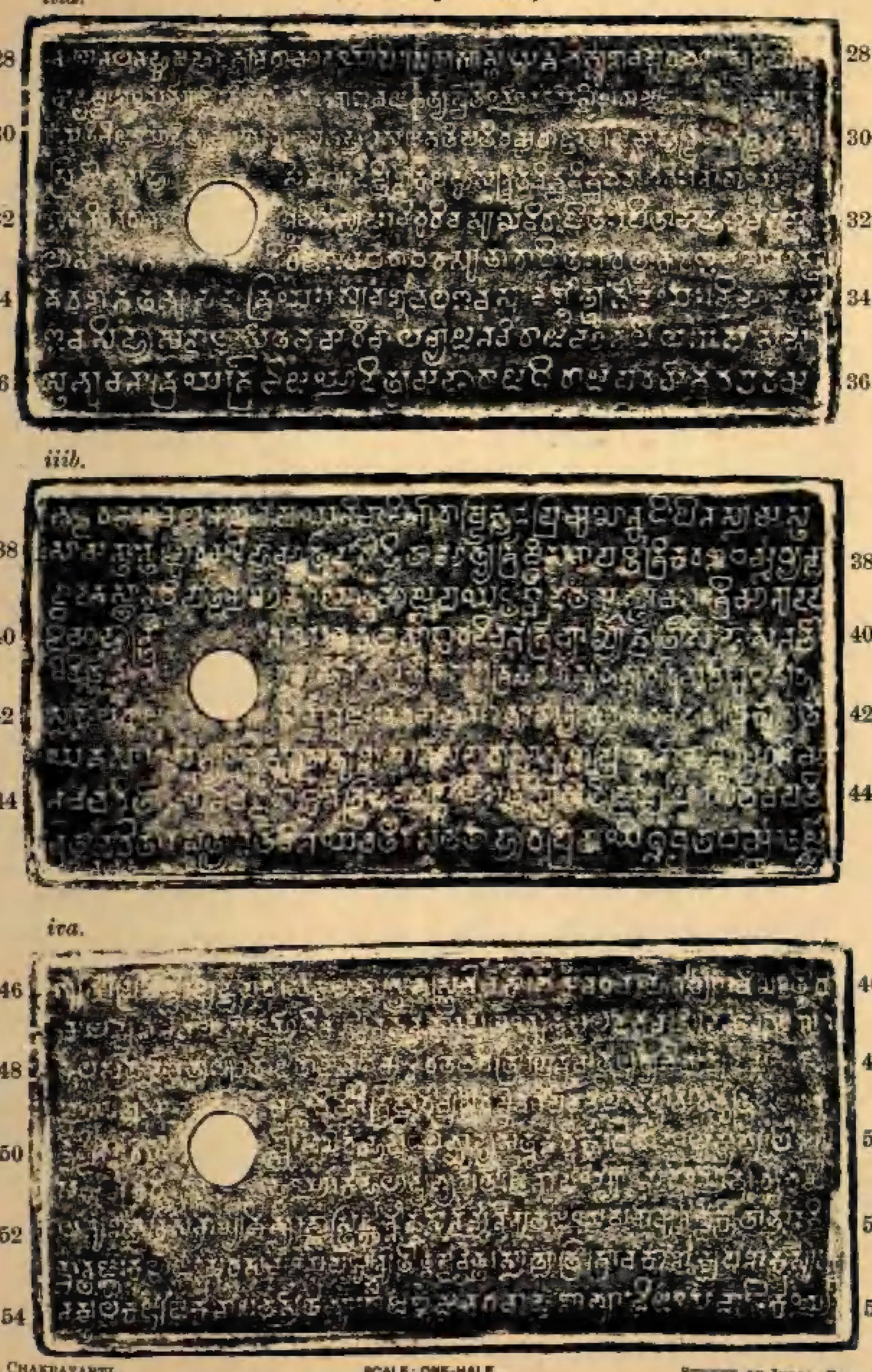 Ink impressions of three inscribed copper plates, the letters of the Telugu-Kannada script showing pale on a dark ground, each plate with a round ring hole near the left edge.