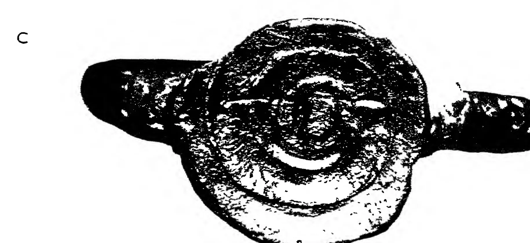 Photograph of a copper-plate seal on its ring, the round face with raised letters and emblems, shown in harsh black and white.