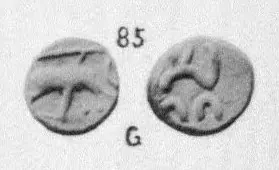 Photograph of both faces of a tiny gold coin: a boar facing right with a goad above it, and a letter over a number; the plate number 85 above and G below.
