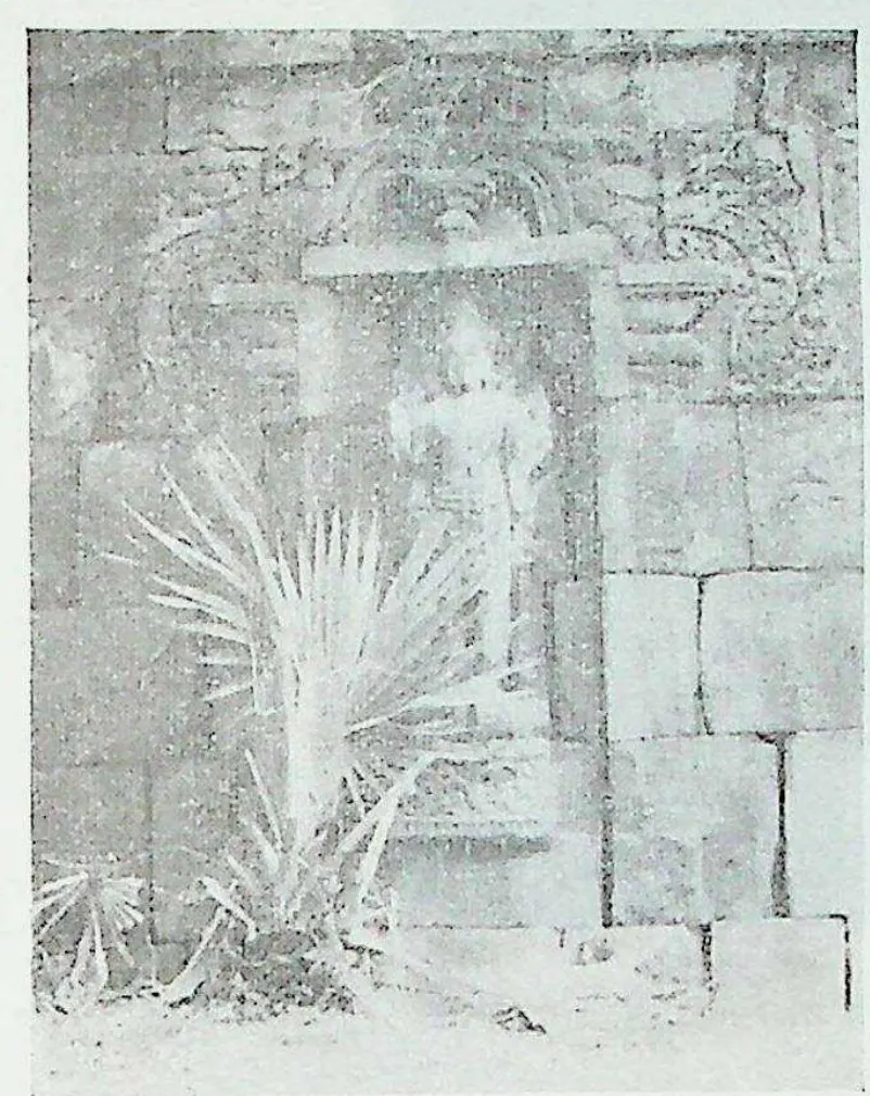A pale, worn wall niche with a standing figure identified as Vishnu, partly hidden by a fan-palm plant growing in front.