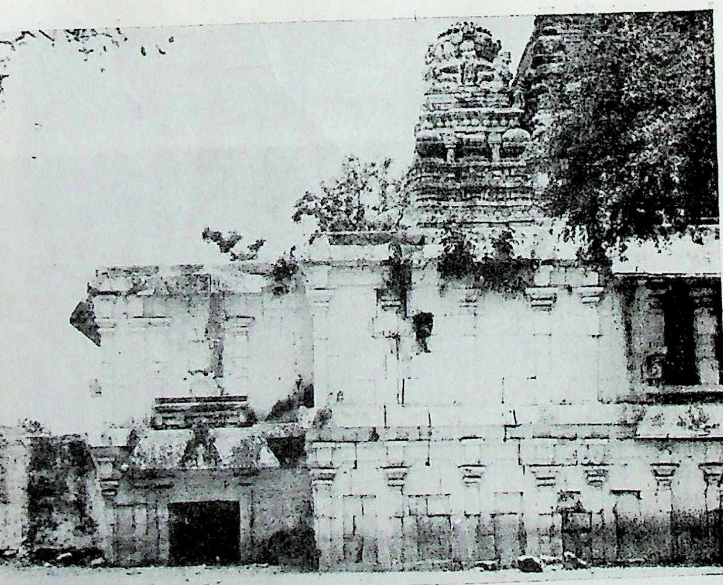 The north side of a temple: a long low wall with niches and a tower rising behind, overgrown in places.