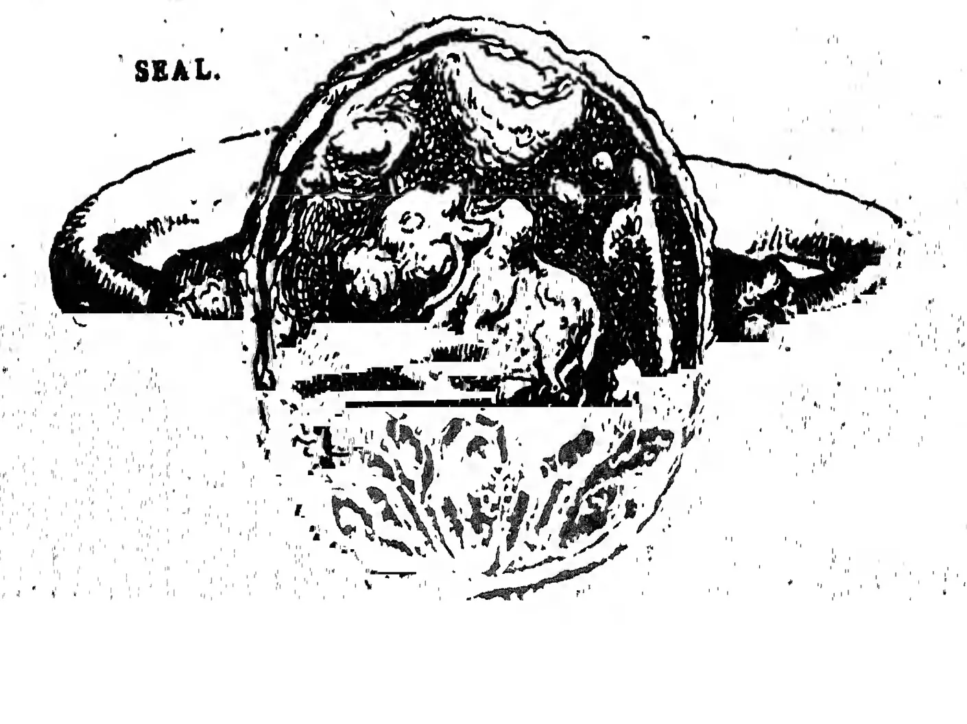 Lithograph of a round copper-plate seal on its ring: a couchant bull in relief with a crescent moon above it and a floral device below.