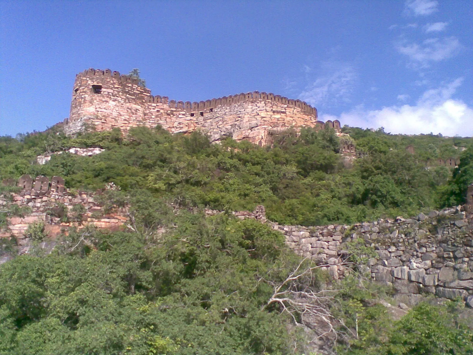 Ruined stone walls with a crenellated parapet and a tall bastion on a rocky hillside covered in green scrub, under a blue sky.