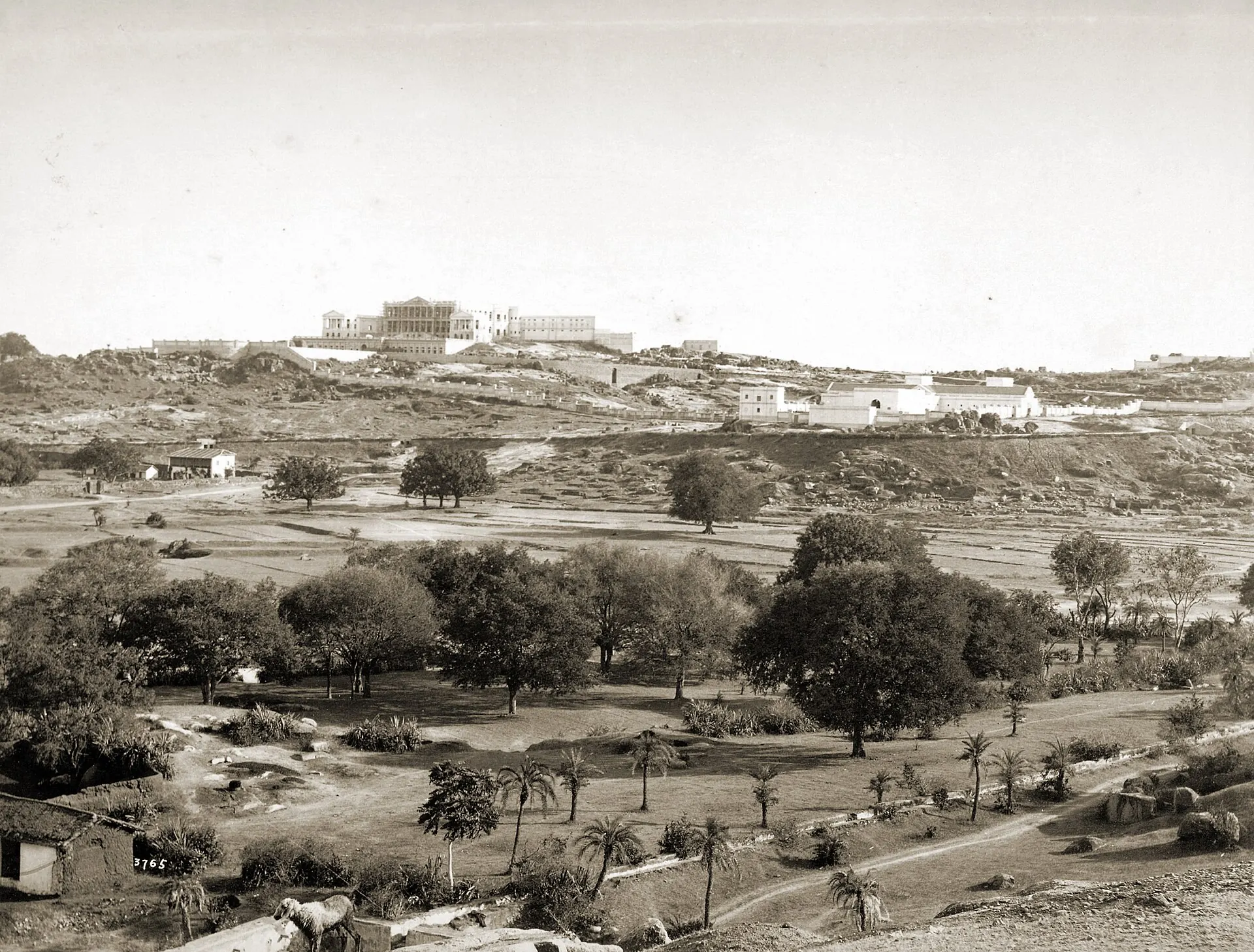 A view of the Falaknuma Palace, taken by Deen Dayal in the 1880s, from the Curzon Collection: 'Views of HH the Nizam's Dominions, Hyderabad, Deccan, 1892'.