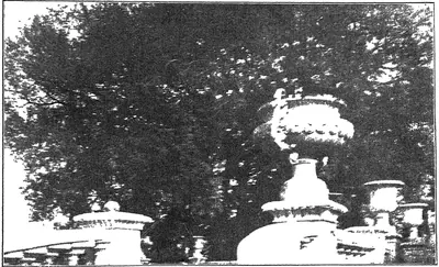 Old halftone photograph of a large spreading tree behind a stone balustrade topped with carved urns, in a park.