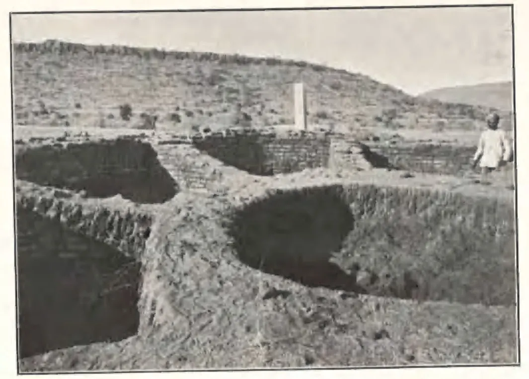 Trenches cut into the stupa mound, showing the curved brick walls of its wheel-shaped foundation.
