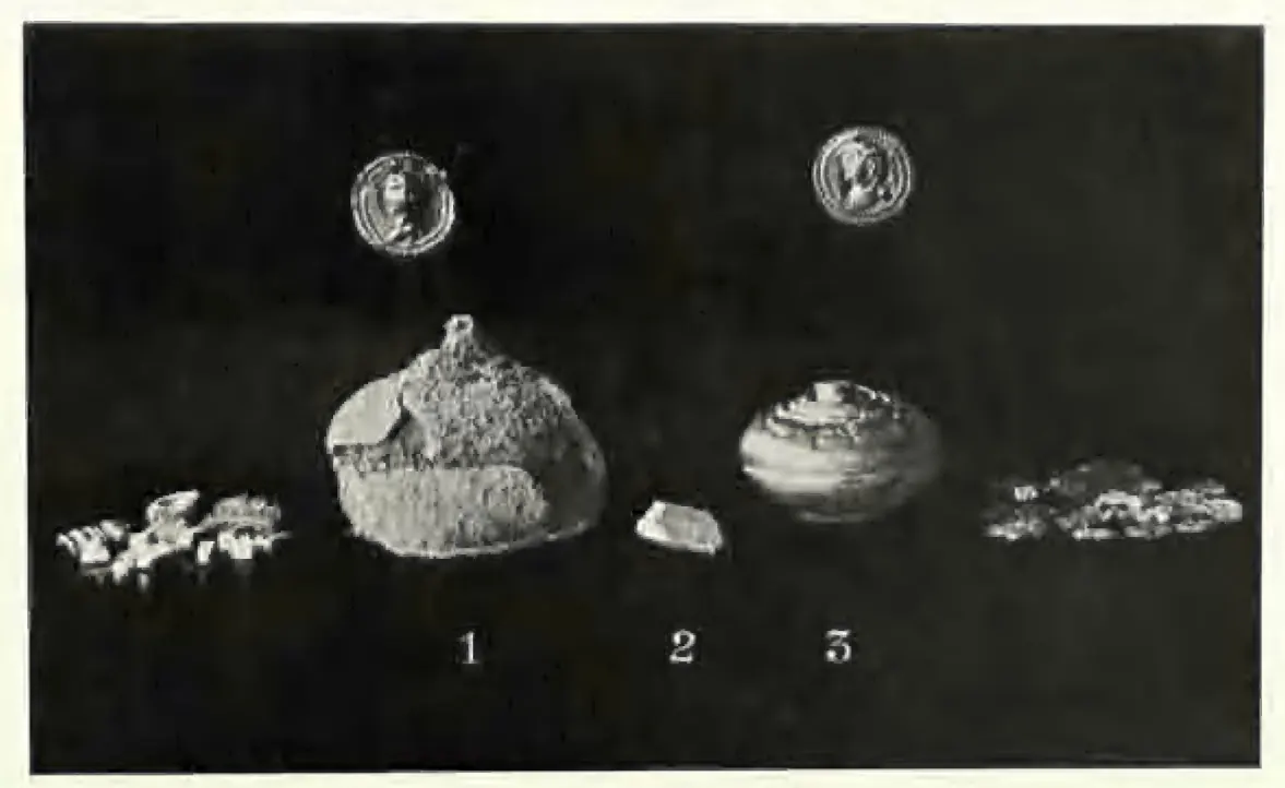 Photograph on a black ground of small relic objects at actual size: a corroded lump of silver numbered 1, a tiny bone fragment numbered 2, a round gold reliquary numbered 3, two small gold medallions above and scraps of gold flowers at the sides.