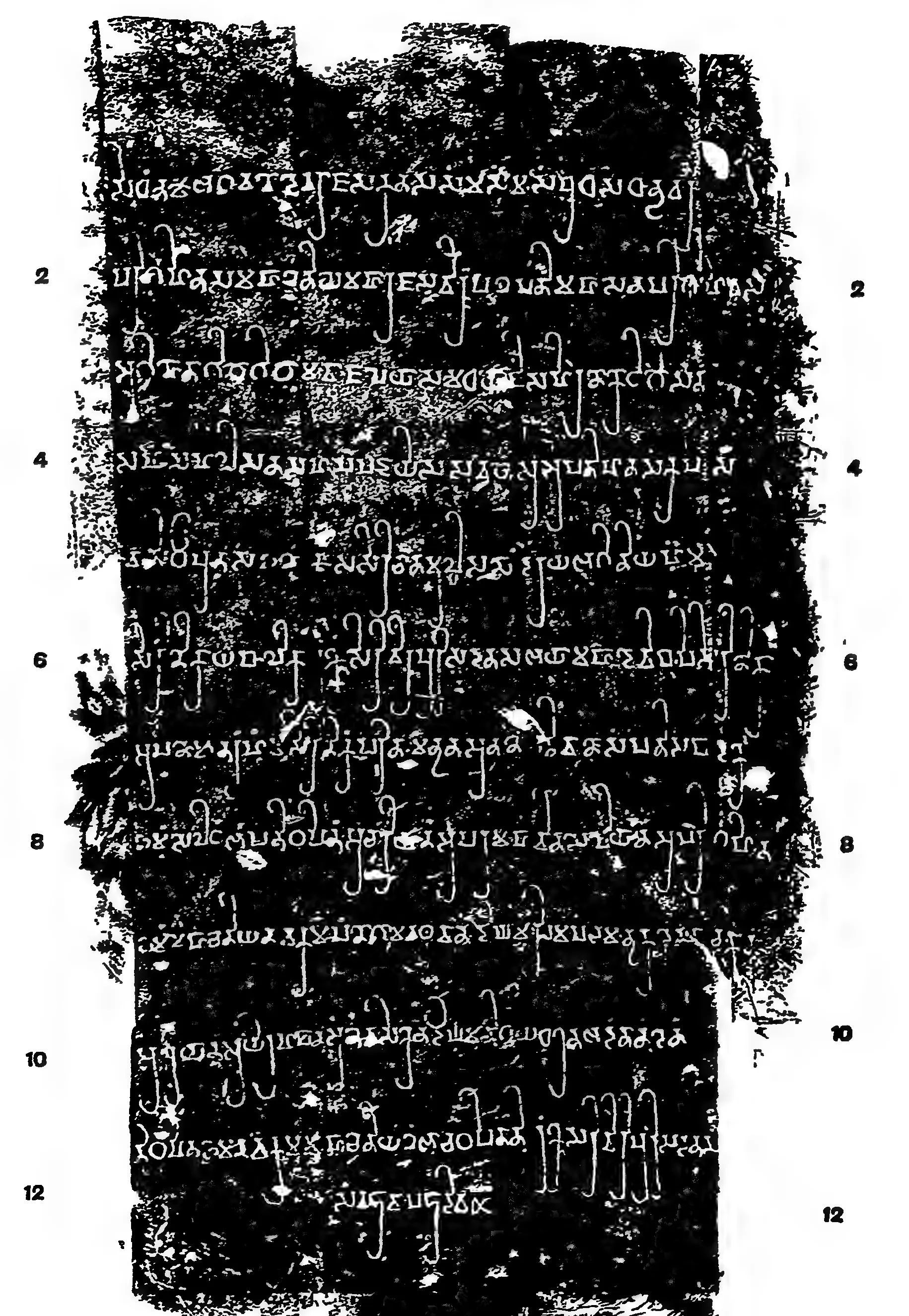 Estampage, white letters on black, of a twelve-line Prakrit inscription in ornate Brahmi with long looped strokes, line numbers 2 to 12 in the margins.
