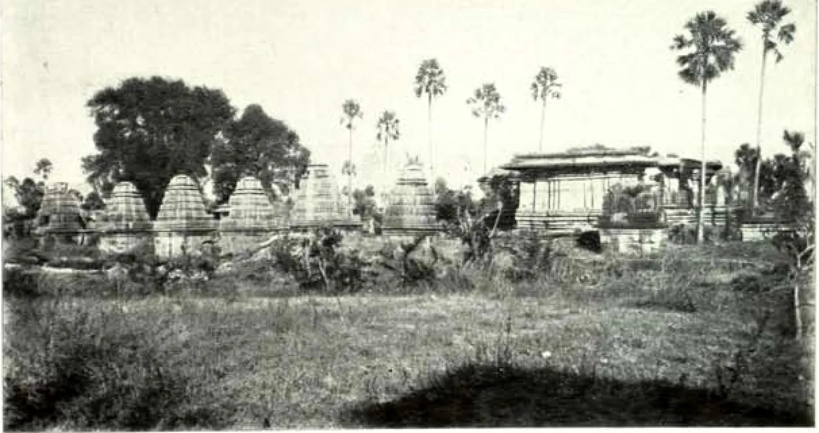 A group of small temples with stepped towers behind a grassy field, a larger flat-roofed temple at the right and tall palms behind.