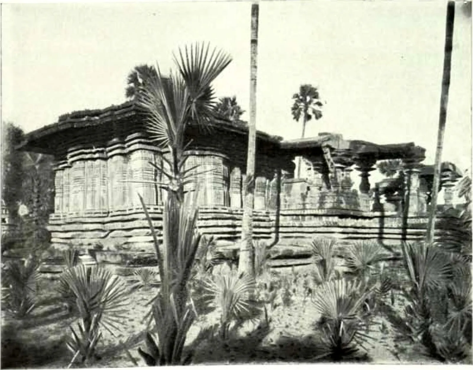 A temple with deeply moulded walls and a broken roof line among young palms and shrubs.