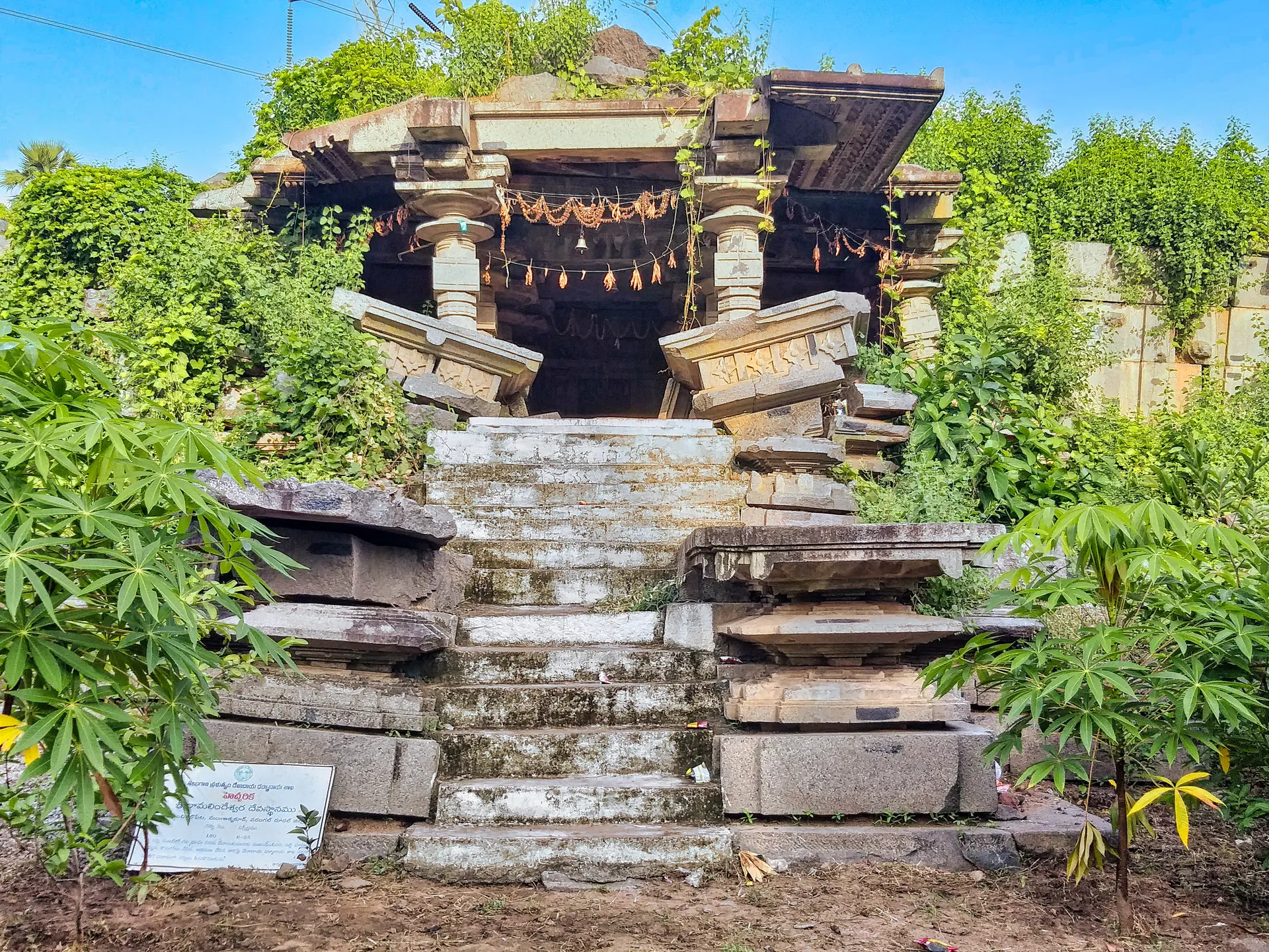A ruined granite temple on a high base overgrown with plants, a flight of stone steps leading up to a pillared porch, and displaced roof slabs tilted on each side.