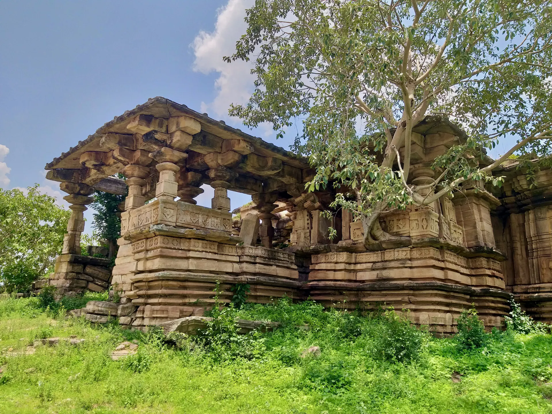 A ruined stone temple with a flat roof on rows of carved pillars in a green field, a large tree growing out of the roof and fallen blocks in front.