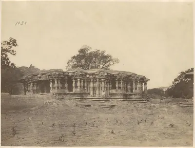 A long, low stone temple with many pillars under deep eaves, a large tree growing from its roof and bare ground in front.