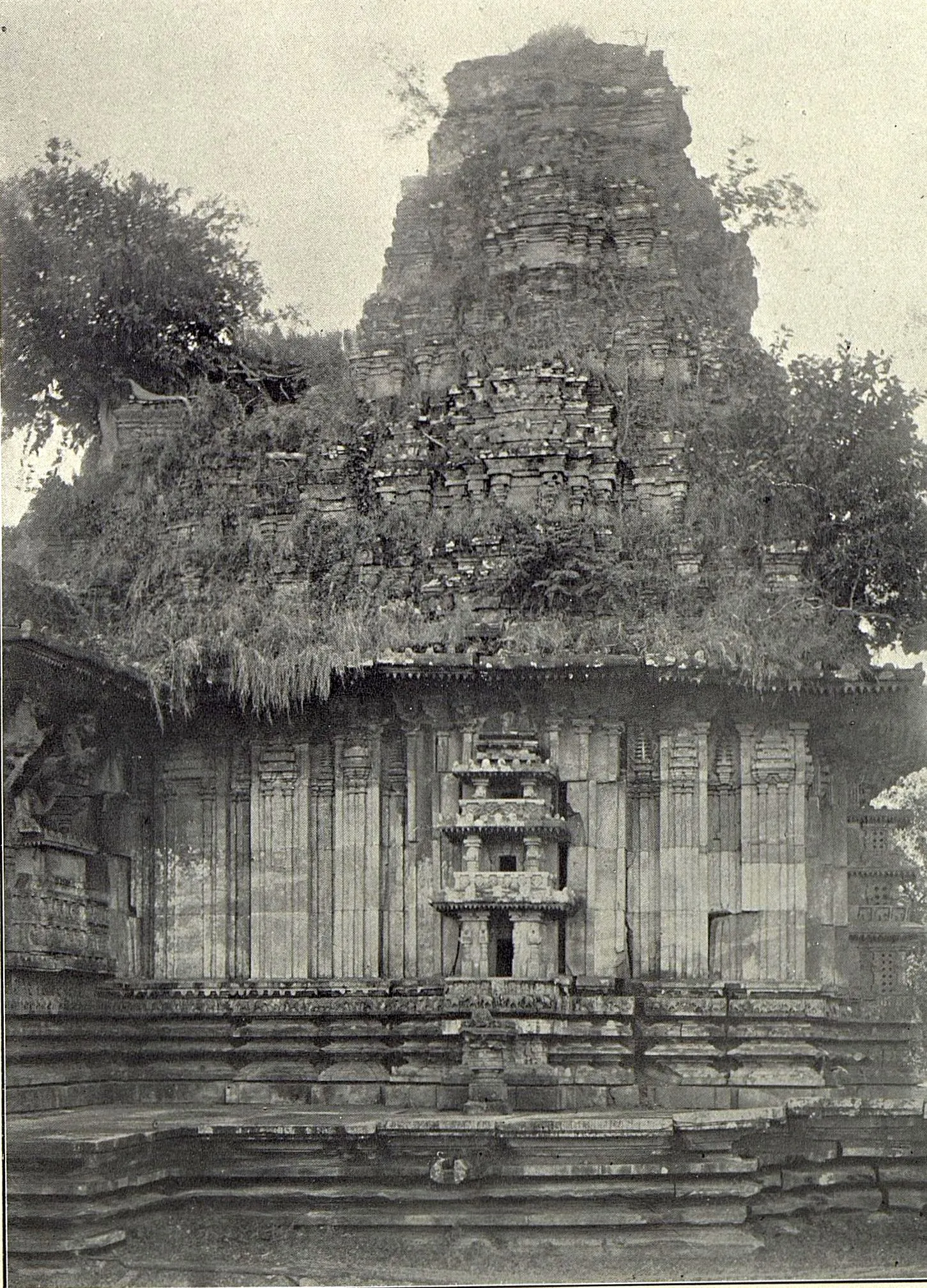 The tower over the shrine of the Ramappa temple, its upper tiers thick with grass and plants, above a plain wall with a small carved niche and a moulded base.