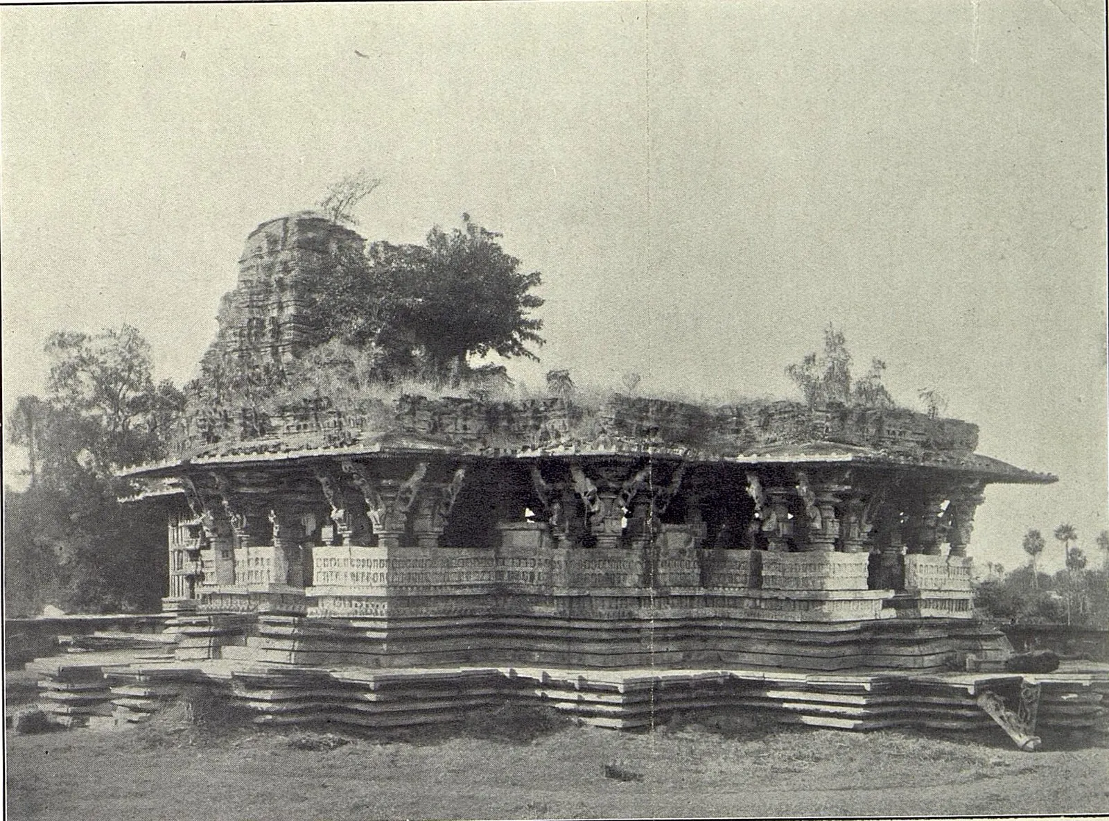 The Ramappa temple seen from the south-east: a pillared hall with deep eaves on a broad stepped platform, its roof and broken tower overgrown with plants and a small tree.
