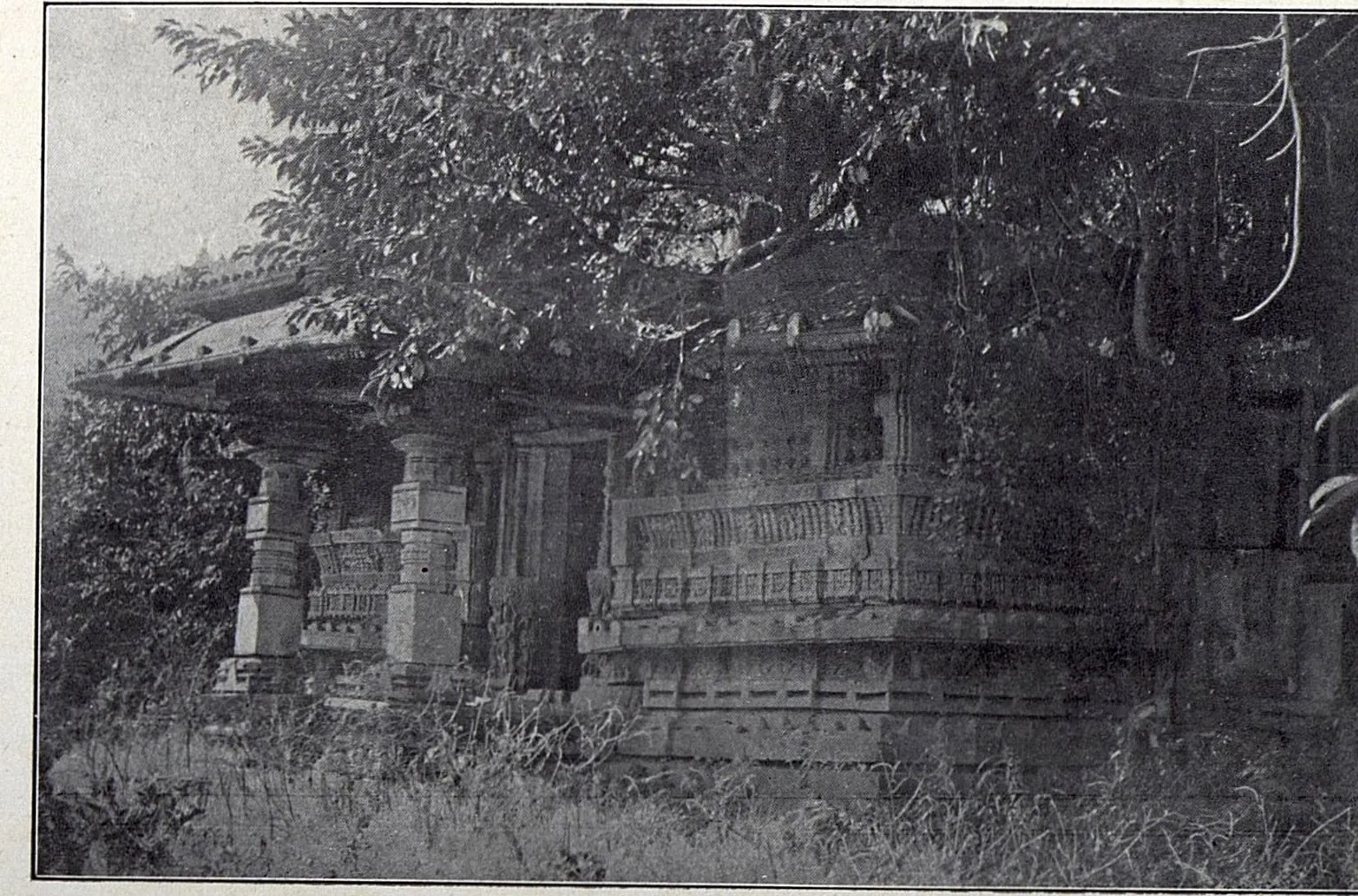 A small stone temple with a pillared porch and carved walls, half hidden by trees and tall grass.