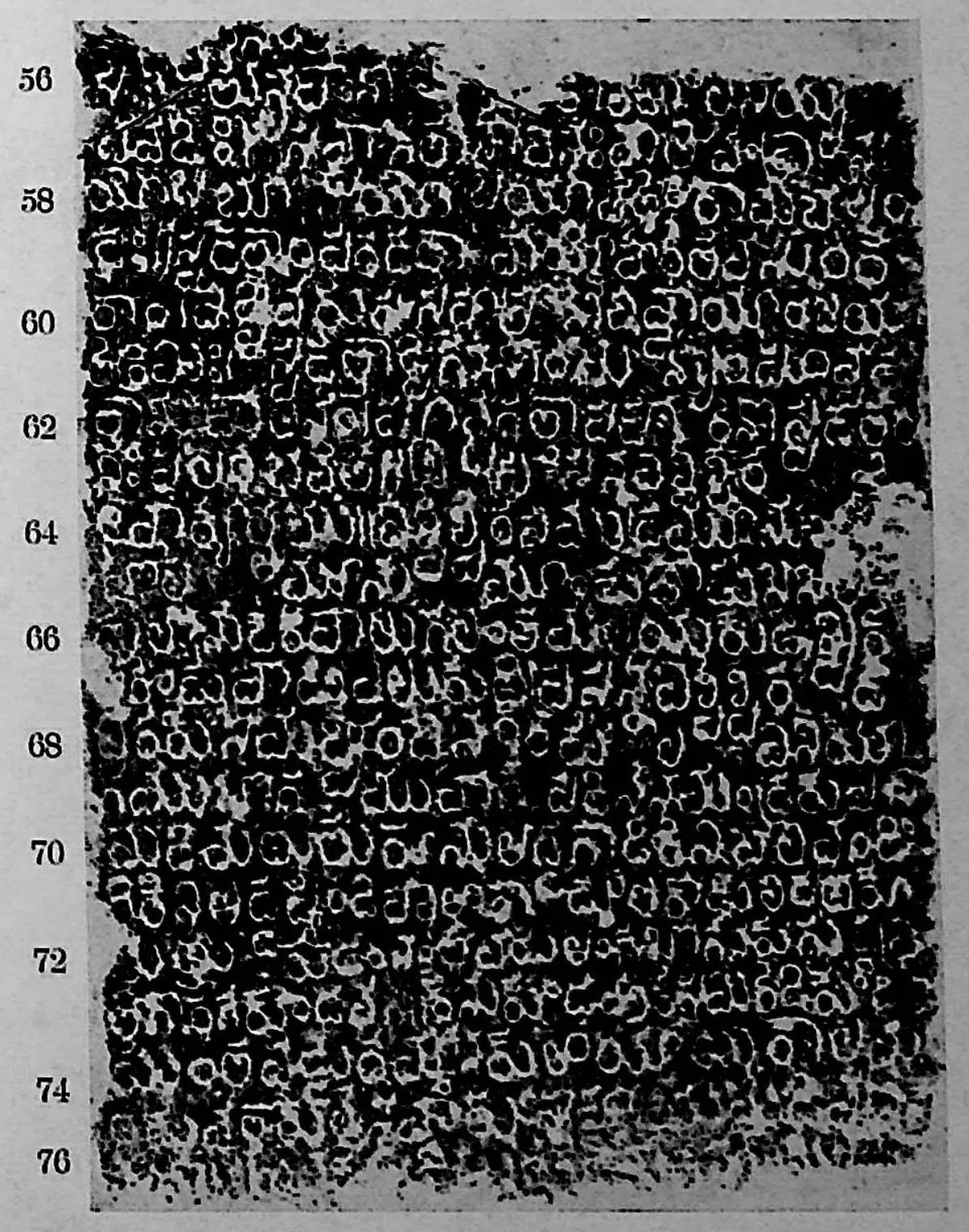 Ink impression of face IV of the "Dharmasāgar inscription", white Telugu-Kannada letters on a black ground, with line numbers in the margin.