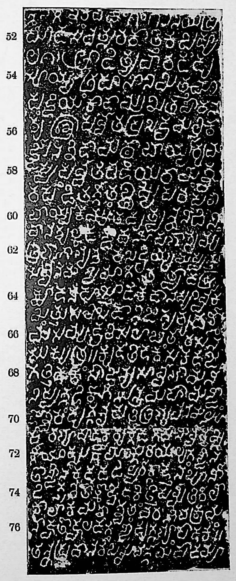 Ink impression of face III of the "Kāzipet inscription in the Dargāh", white Telugu-Kannada letters on a black ground, with line numbers in the margin.