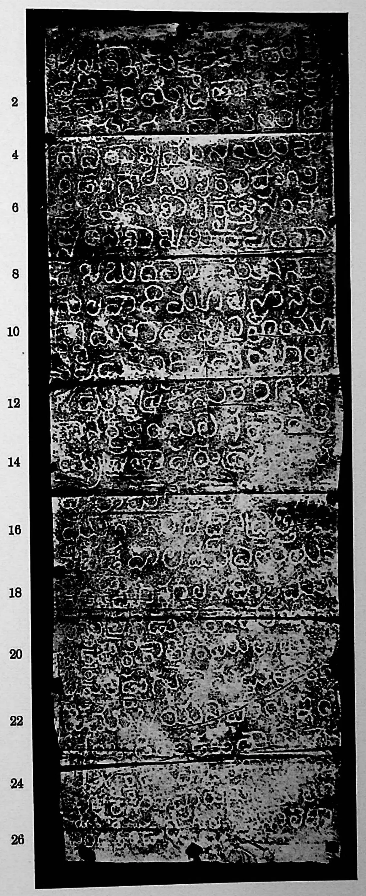 Ink impression of an inscribed stone of the "Nāgulapāḍu inscription of Saka 1225", white Telugu-Kannada letters on a black ground, with line numbers in the margin.