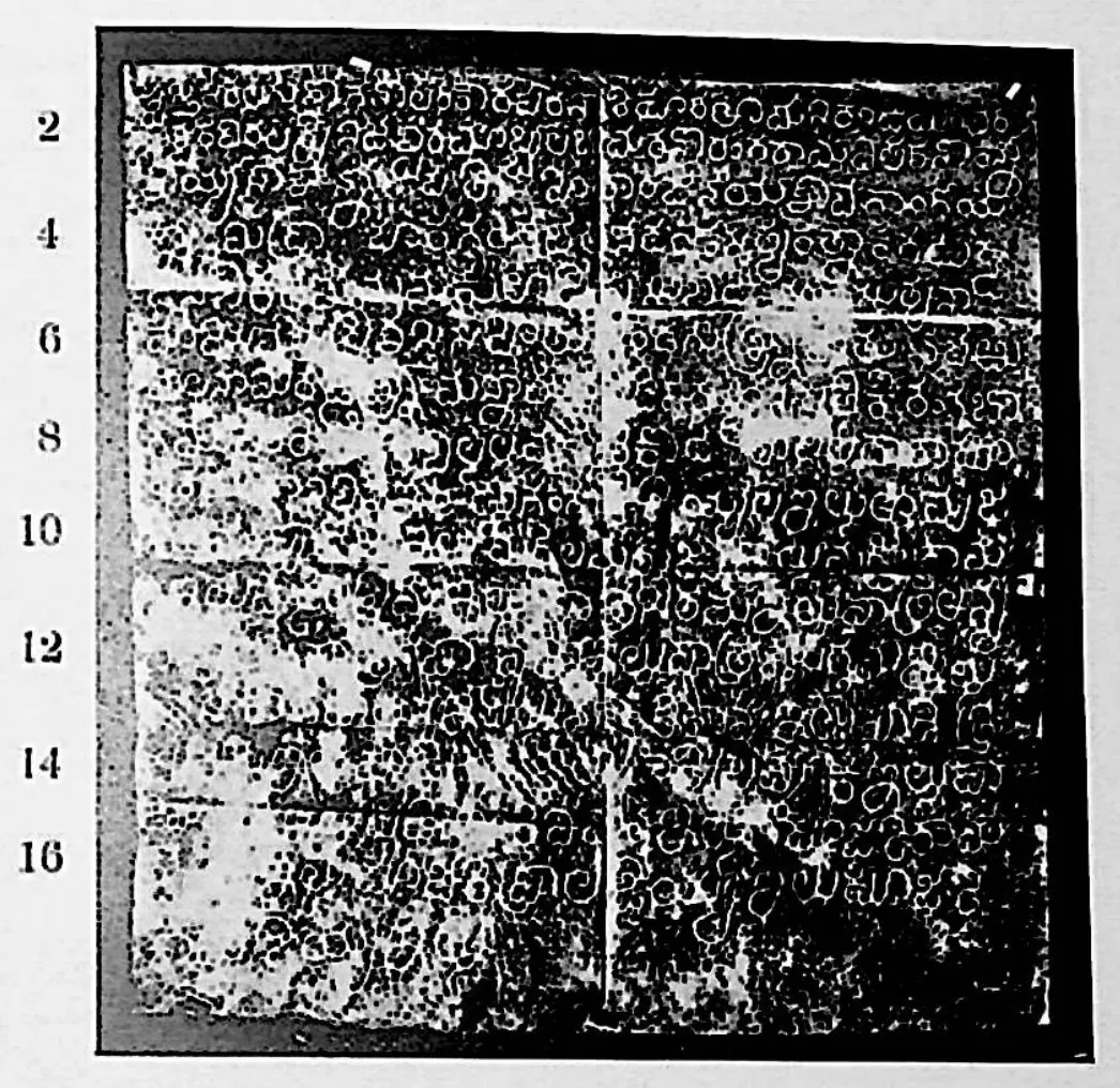 Ink impression of an inscribed stone of the "Pillalamaṟṟi inscription of Rēceṟuvula Nāmi-Reḍḍi", white Telugu-Kannada letters on a black ground, with line numbers in the margin.