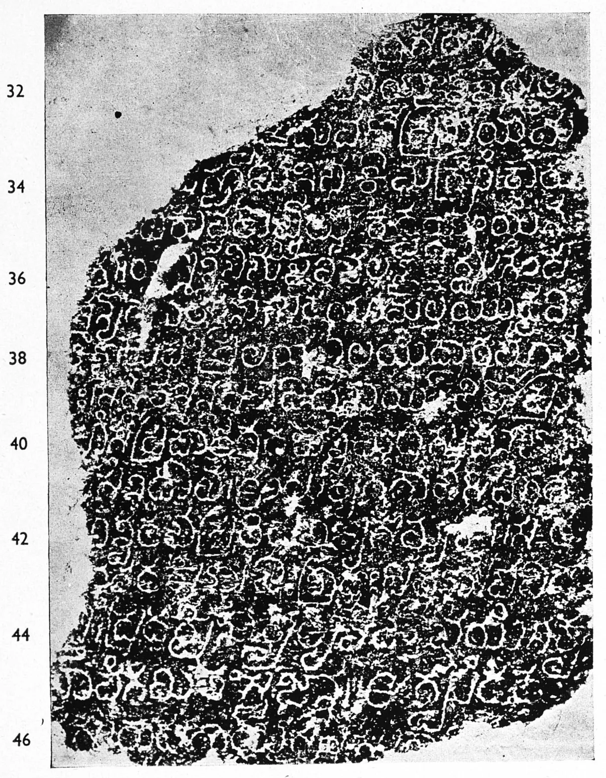 Ink impression of face III of the "Hanumakoṇḍa inscription of Gaṃgādhara", white Telugu-Kannada letters on a black ground, with line numbers in the margin.
