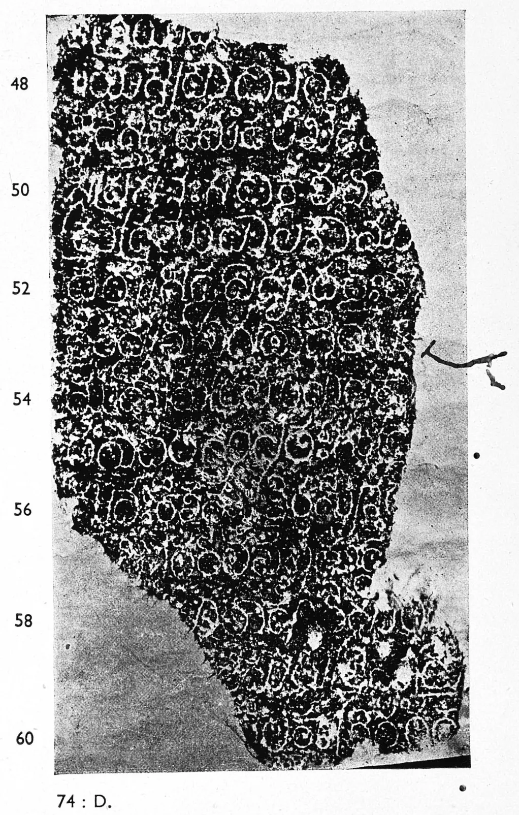 Ink impression of face IV of the "Hanumakoṇḍa inscription of Gaṃgādhara", white Telugu-Kannada letters on a black ground, with line numbers in the margin.
