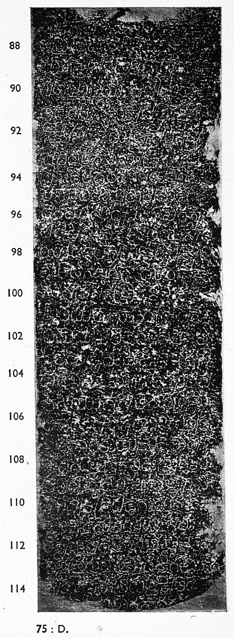 Ink impression of face IV of the "Hanamakoṇḍa inscription of Gaṅgādhara", white Telugu-Kannada letters on a black ground, with line numbers in the margin.